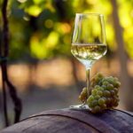 Pourquoi la macération pelliculaire est-elle intéressante pour les blancs de Provence ?
