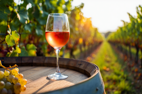 vin-rose-provence