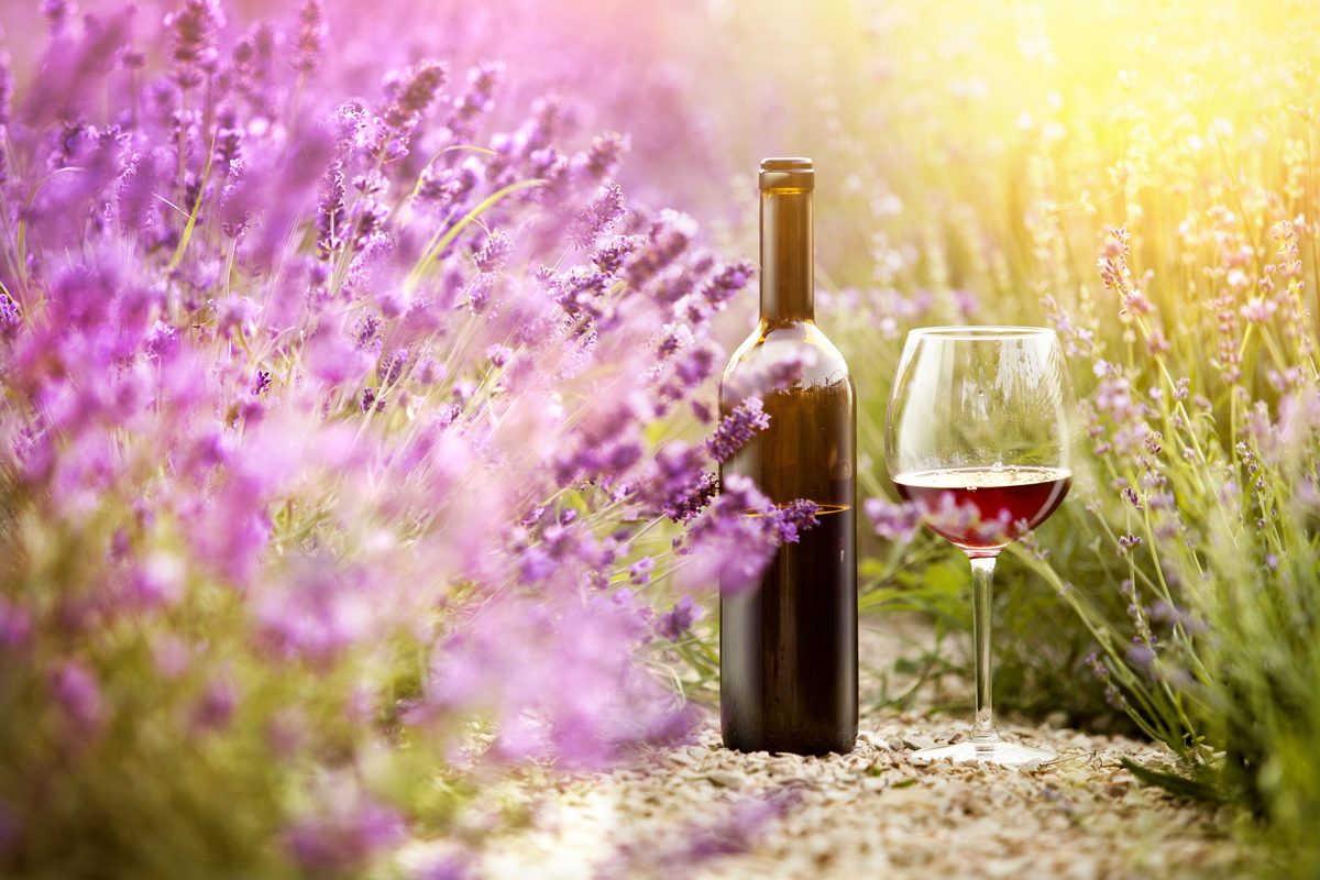vins-provencaux